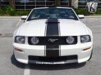 Thumbnail Photo 6 for 2009 Ford Mustang
